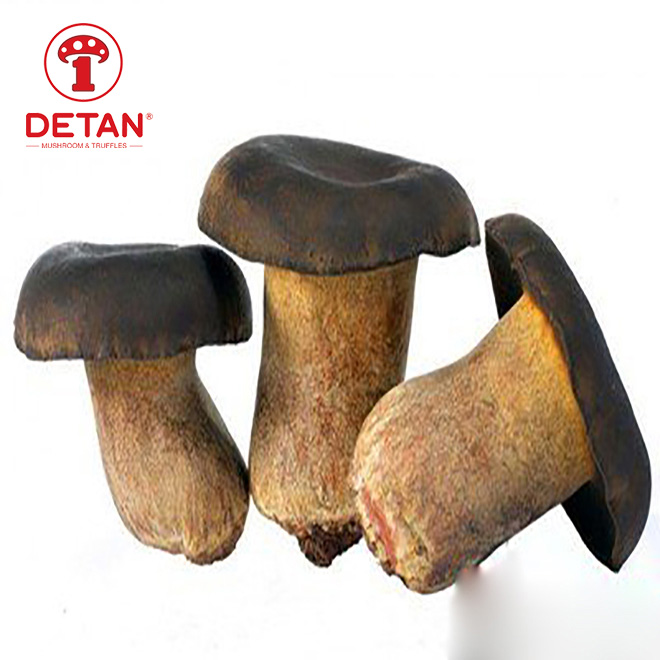 Chine exportation de champignons Edulis frais champignons bolets roi sauvages