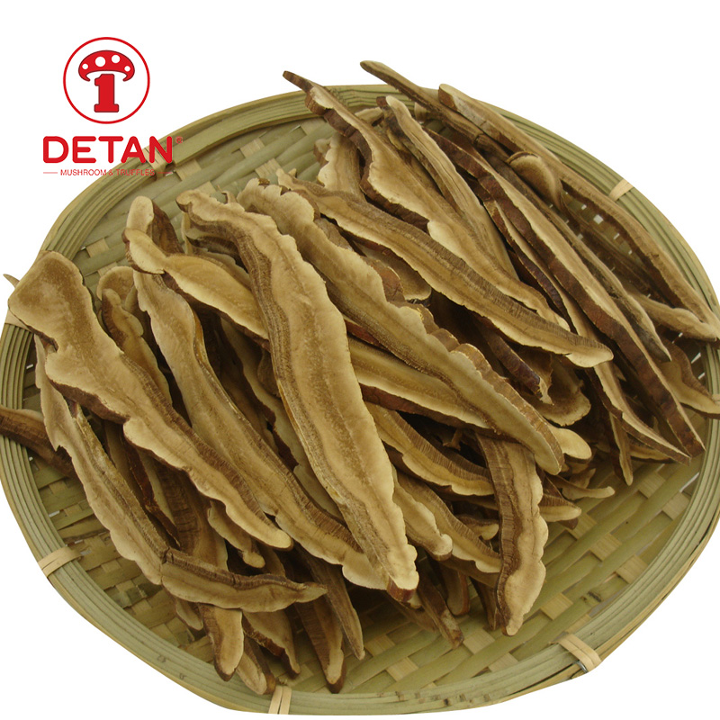 čínska exportná lekárska huba DETAN na predaj bio sušená huba reshi