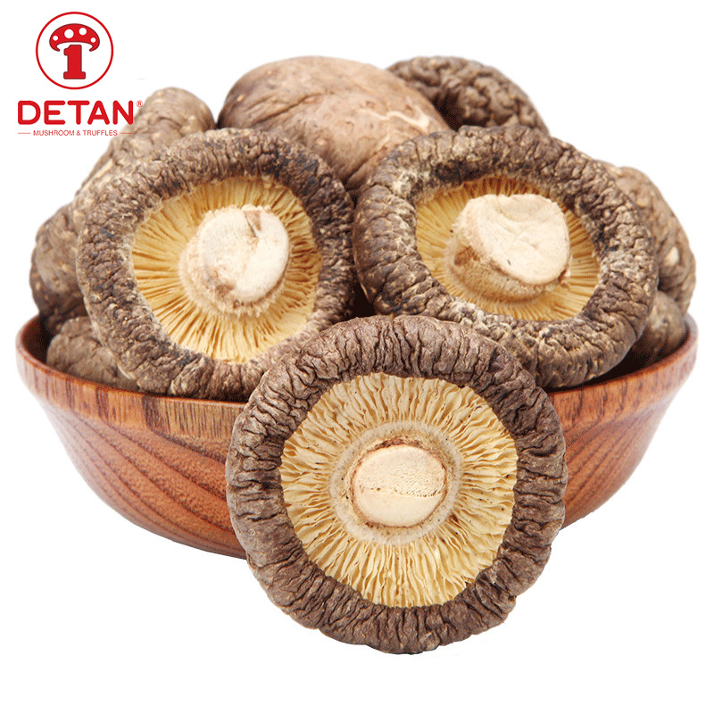 DETAN export pure nature dried mushroom high quality Cultivated Shiitake Mushroom