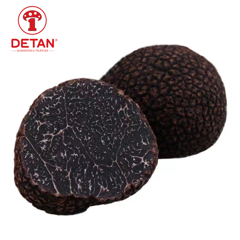 China ngekspor jamur liar Jamur truffle liar sing seger kanggo didol