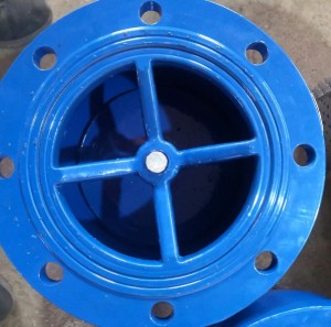 Cast Iron foot check valves with SS screen (CV-R-01)