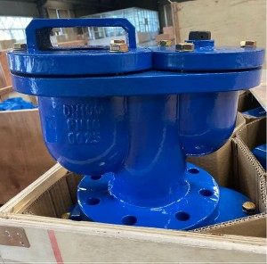Air release valve with isolation valve A-F-01