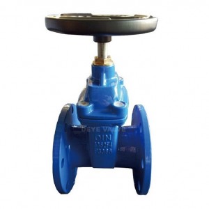Resilient PN25 Ductile iron flanged Gate Valve (GV-X-04)