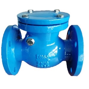 Resilent swing check valves with EPDM seat CV-Z-01