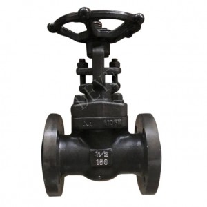 A105 Forged steel 800LBS Gate Valve GVC-0800-1