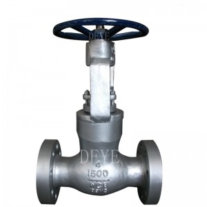 Forged stainless steel SW PN64 Gate Valve  GVF-0064-S