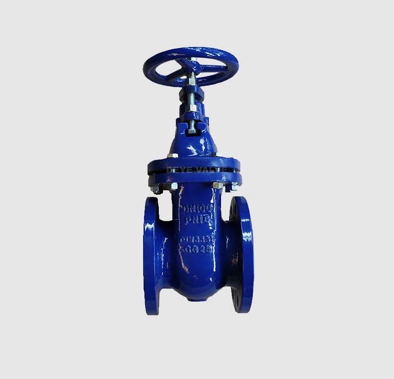 High definition Foot Valve With Flange Ends -
 Cast Iron Brass seated BB Gate Valve (GV-D-04) – Deye
