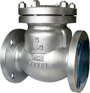 Butt Welded swing check valve with by pass