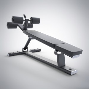 Hot-selling China Gym Fitness Equipment Incline Indoor Sit up Muscle Training Abdominal Adjustable Bench for Weight Lifting