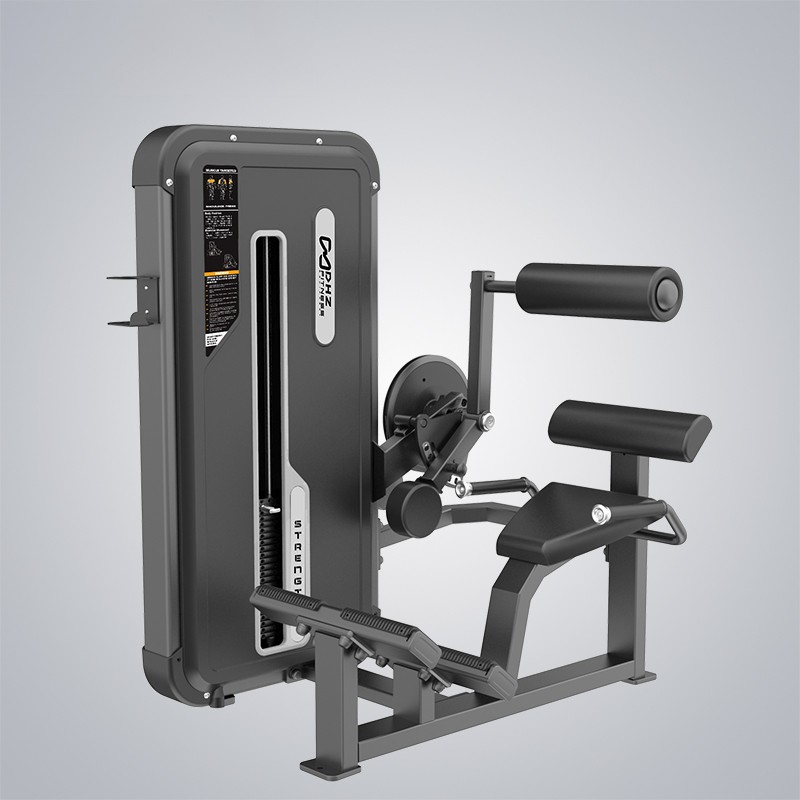 China Hip Thrust Workout Machine Manufacturer –  Back Extension E3031A  – DHZ