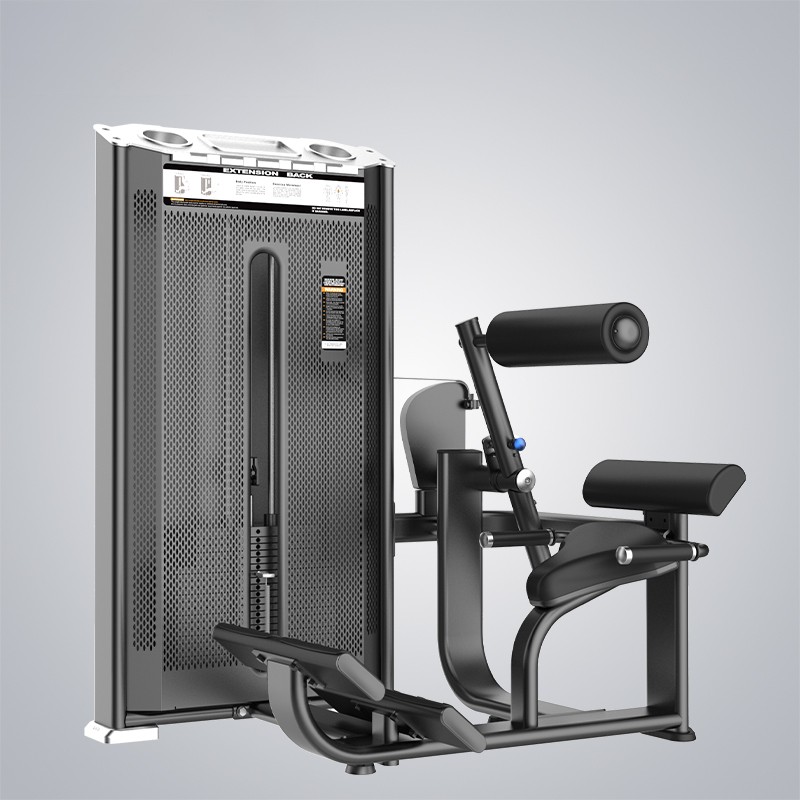 Wholesale Leg Press Resistance Machine Supplier –  Back Extension E7031A  – DHZ