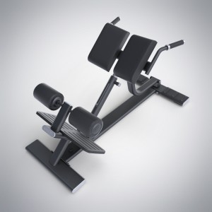 Factory Supply China DHZ Fitness Professional Fitness Equipment Extension Adjustable Roman Bench