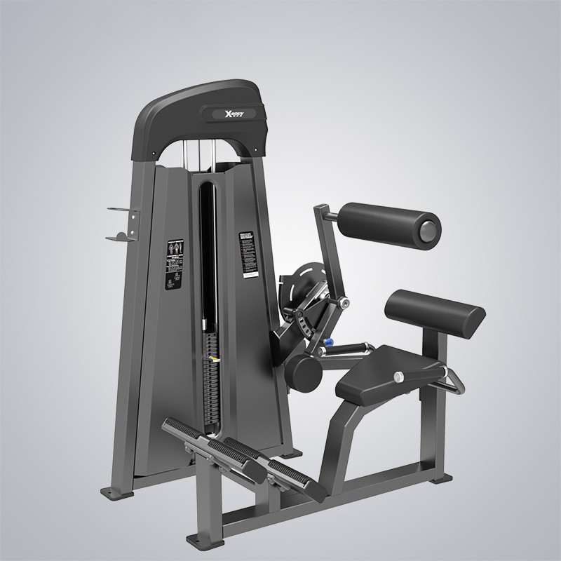 China Chest Press Manufacturers –  Back Extension J3031  – DHZ