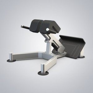 Reliable Supplier China Adjustable Roman Chair Sit up Benches Machine for Commercial Gym Fitness