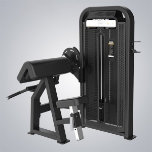 China DHZ Fitness Equipment Body Exercise Sports Machine Strength Machine Seated Biceps Curl