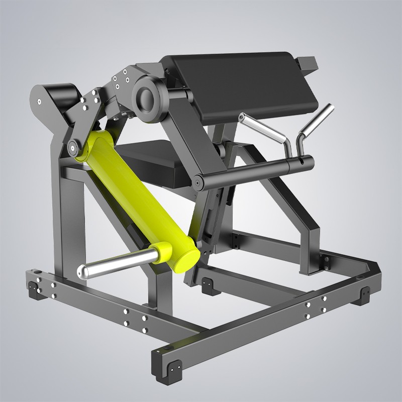 China Knee Extension Machine Manufacturers –  Biceps Curl Y970Z  – DHZ