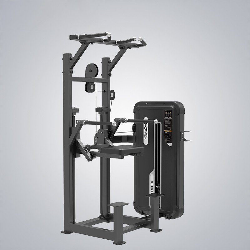 Wholesale Gym Equipment Suppliers –  Dip Chin Assist E3009A  – DHZ