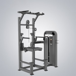 Gym Cycle Suppliers –  Dip Chin Assist E5009S  – DHZ
