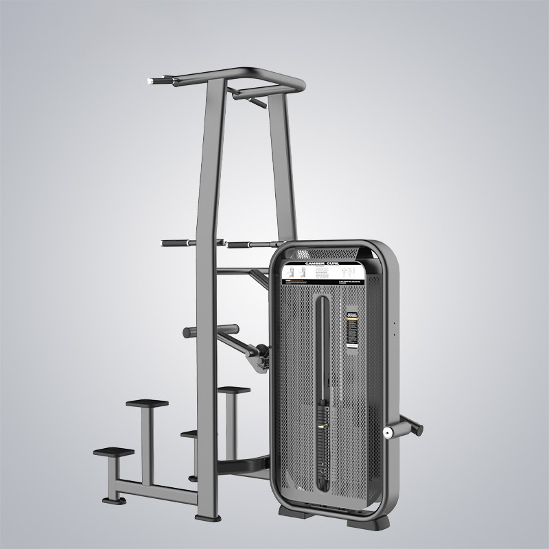 Wholesale Leg Extension Machine Workout Supplier –  Dip Chin Assist E7009  – DHZ
