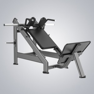 Reasonable price for China Plate Loaded Fitness Equipment Strength Linear-Hack-Press