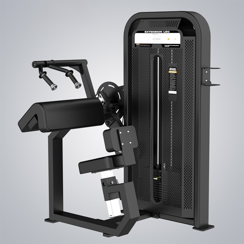 Cable Motion Supplier –  Triceps Extension E5028H  – DHZ