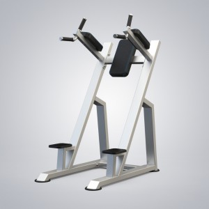 China OEM China Vertical Knee Raise Bodybuilding Rack Muscle Strength Equipment