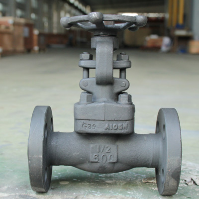 Forged Steel Globe Valve Featured Image