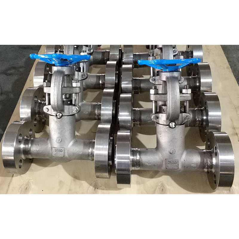 China Wholesale Aluminium Bronze Wafer Butterfly Valve Quotes Pricelist - Stainless Steel Gate Valve  – DIDLINK GROUP