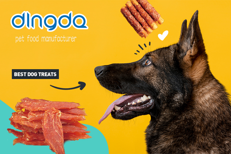 Presentazione di una nuova linea di dolcetti per cani a base di pollo con una varietà di varietà che fanno bene alla salute dei cani