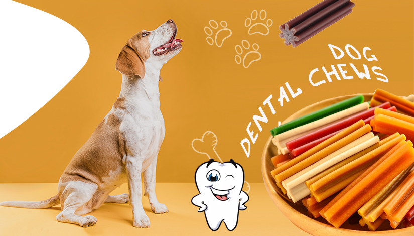 The Company Has Newly Developed a Full Range Of Dental Chewing Products To Meet The Needs Of Different Dogs