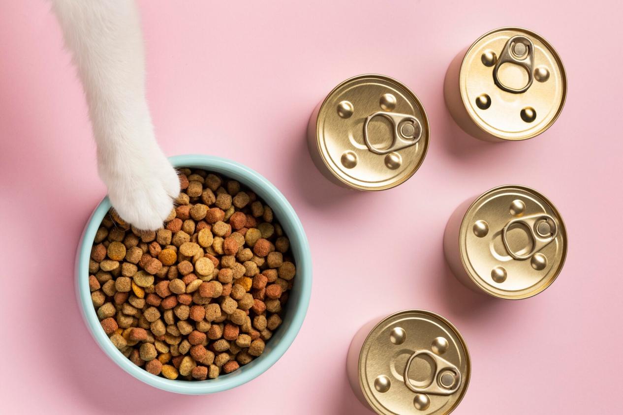 [Guía de alimentación para gatos]: como elixir a comida para gatos e os petiscos para gatos