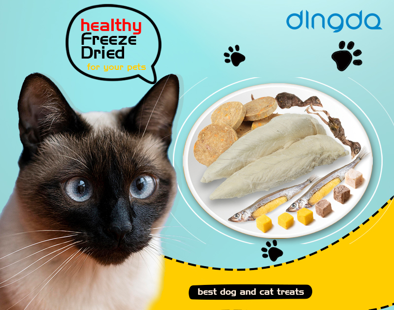 "Purrfection In Every Bite: Freeze Dried Cat Treats Ο προμηθευτής ανεβάζει τον πήχη στις γιορτές των αιλουροειδών!"