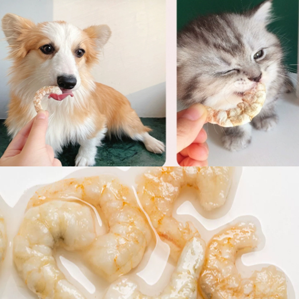 Profesyonel Evcil Hayvan Maması Fabrikası, Dondurularak Kurutulmuş Kedi Ürünlerinin Bağımsız Geliştirilmesi, Kedilerin Sağlıklı Büyümesini Teşvik Ediyor