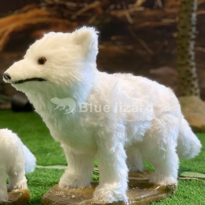 တိရစ္ဆာန်ရုံများနှင့် ပြပွဲများအတွက် Arctic Fox မော်ဒယ်ကို Fox မော်ဒယ် ဖန်တီးခြင်း။