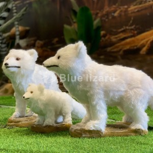 Fox modell készítés Arctic Fox modell állatkertbe és kiállításra