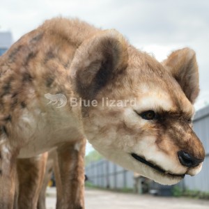 Kogon hyena animatronic model, mafi ainihin crocuta spelaeas!