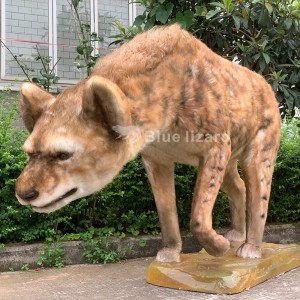 Model animatronic de hiena de pestera, cea mai adevarata crocuta spelaeas!