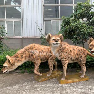 Model animatronik gua hyena, spelaea crocuta paling nyata!