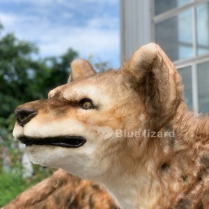 Modelo animatrónico de hiena cavernaria, a crocuta spelaeas máis real!