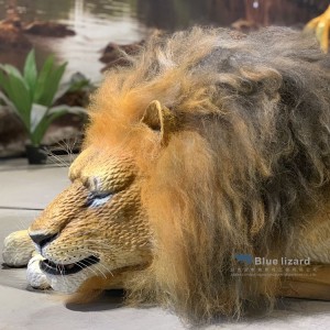 Dozing Lion Animatronic Displays Nature’s Perfect Balance of Rest and Alertness