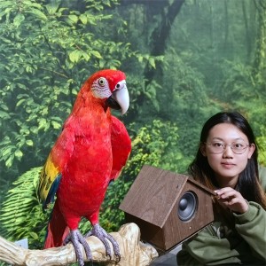Модель попугая ара с электрическим управлением, модель птицы, индивидуальный аниматроник попугая