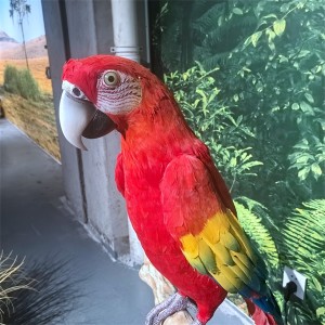Taolo ea motlakase macaw parrot model nonyana ea mohlala tloaelo parrot animatronic