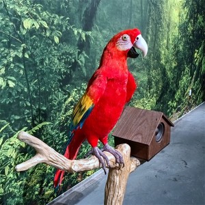 ឧបករណ៍បញ្ជាអគ្គិសនី macaw parrot model bird model custom parrot animatronic