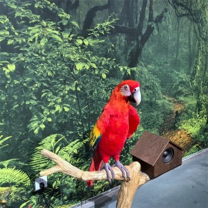 Kontrol listrik macaw parrot model manuk model custom parrot animatronic