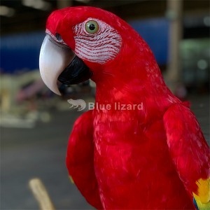 Kugenzura amashanyarazi macaw parrot icyitegererezo cyinyoni icyitegererezo parrot animatronic