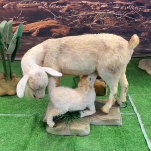 Gidak-on sa Kinabuhi nga Animatronic Goat Replica nga mga Modelo sa Karnero