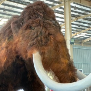Snaha čínskych výrobcov „vyrábať mamuty“ priviesť späť chlpatých, chladom milujúcich slonov