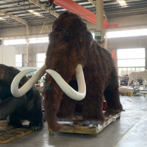 Sforzu di i fabbricanti chinesi di "Fare mammut" per rinvià elefanti Shaggy è amante di u friddu