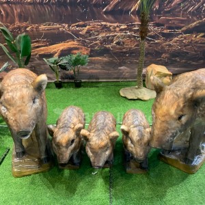 Modele rodziny świń pekari Tayassuidae na wystawę