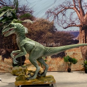 Далечински управувач Статуа на диносаурус на раптор во природна големина на Велоцираптор
